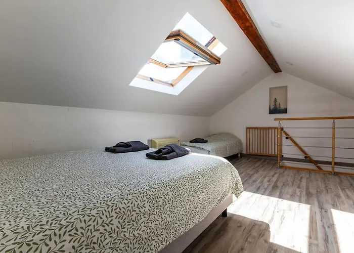 Le Zen Apartament Dijon